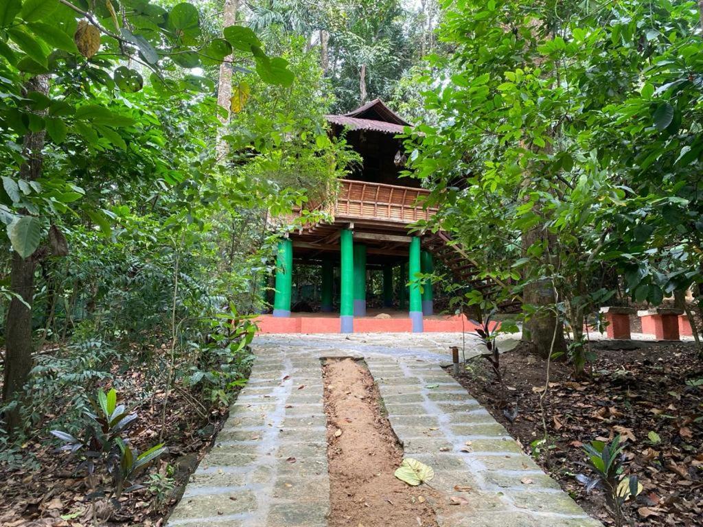 Trekking Trails Eco Stay 卡尔佩特塔 外观 照片