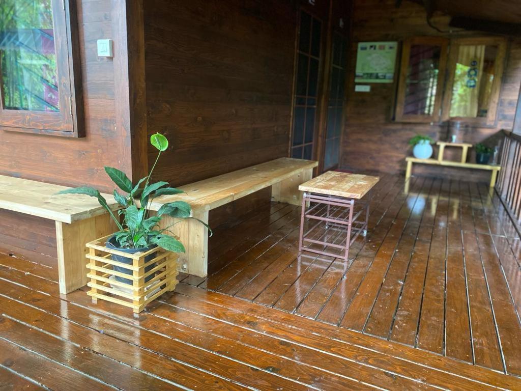 Trekking Trails Eco Stay 卡尔佩特塔 外观 照片