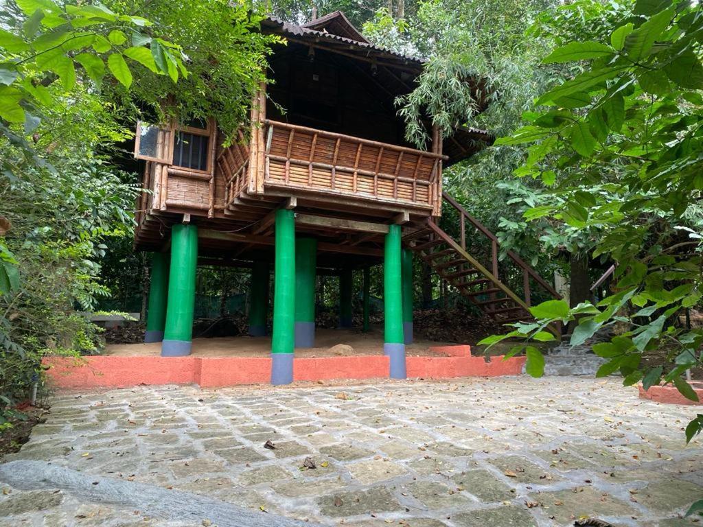 Trekking Trails Eco Stay 卡尔佩特塔 外观 照片